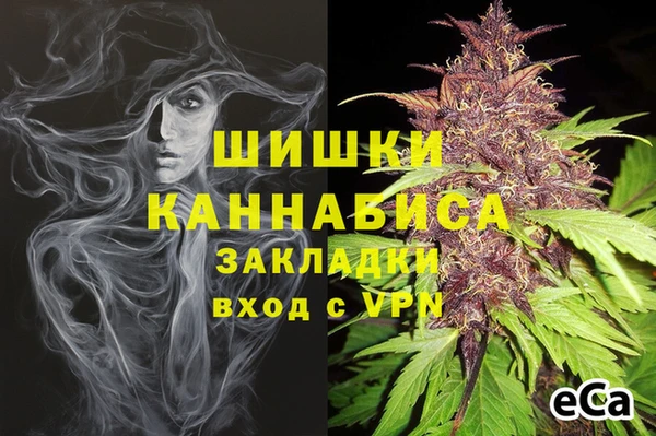 спайс Алзамай