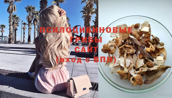 спайс Алзамай