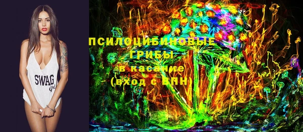 спайс Алзамай