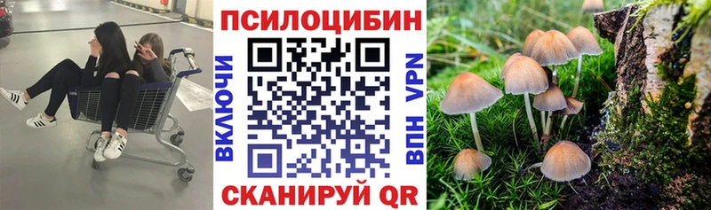 Галлюциногенные грибы Cubensis  где можно купить наркотик  Калач-на-Дону 