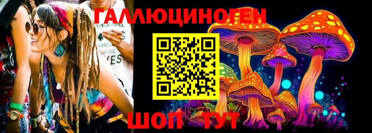 Галлюциногенные грибы GOLDEN TEACHER Калач-на-Дону