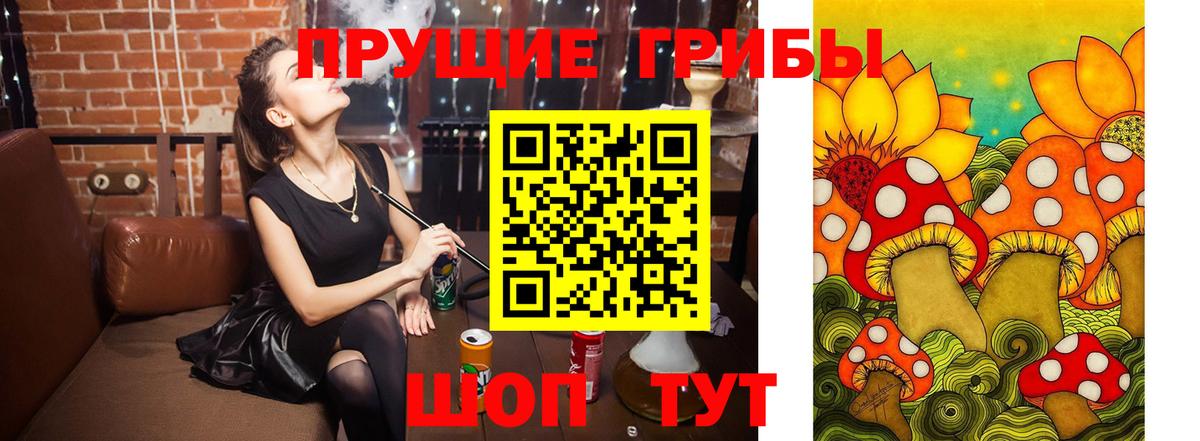 Псилоцибиновые грибы ЛСД  Псилоцибиновые грибы GOLDEN TEACHER  Вход с VPN  Калач-на-Дону 